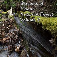 Streams of Pisgah, Vol.2 Album Cover
